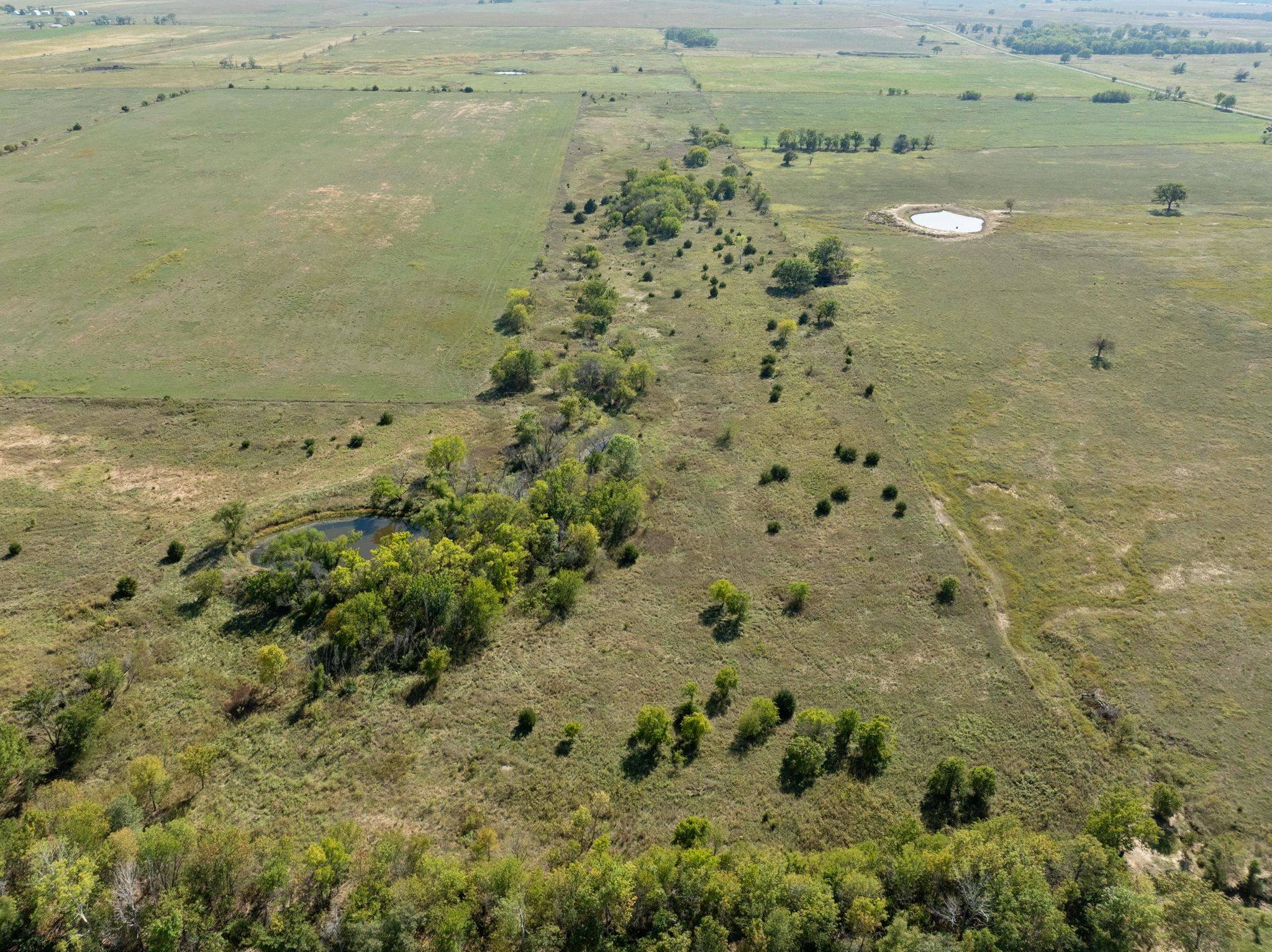 Howard, KS 67349,1447 Harvest