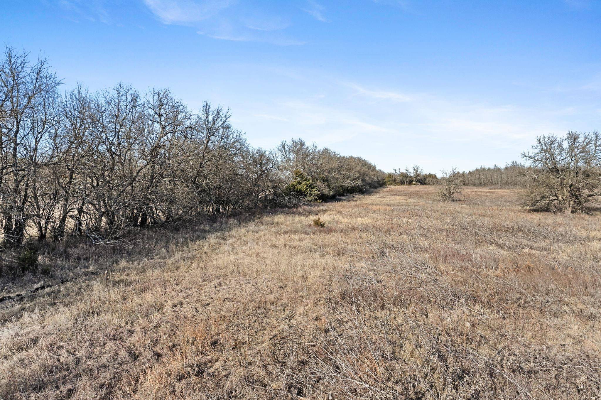 Leon, KS 67074,000 SE 90th