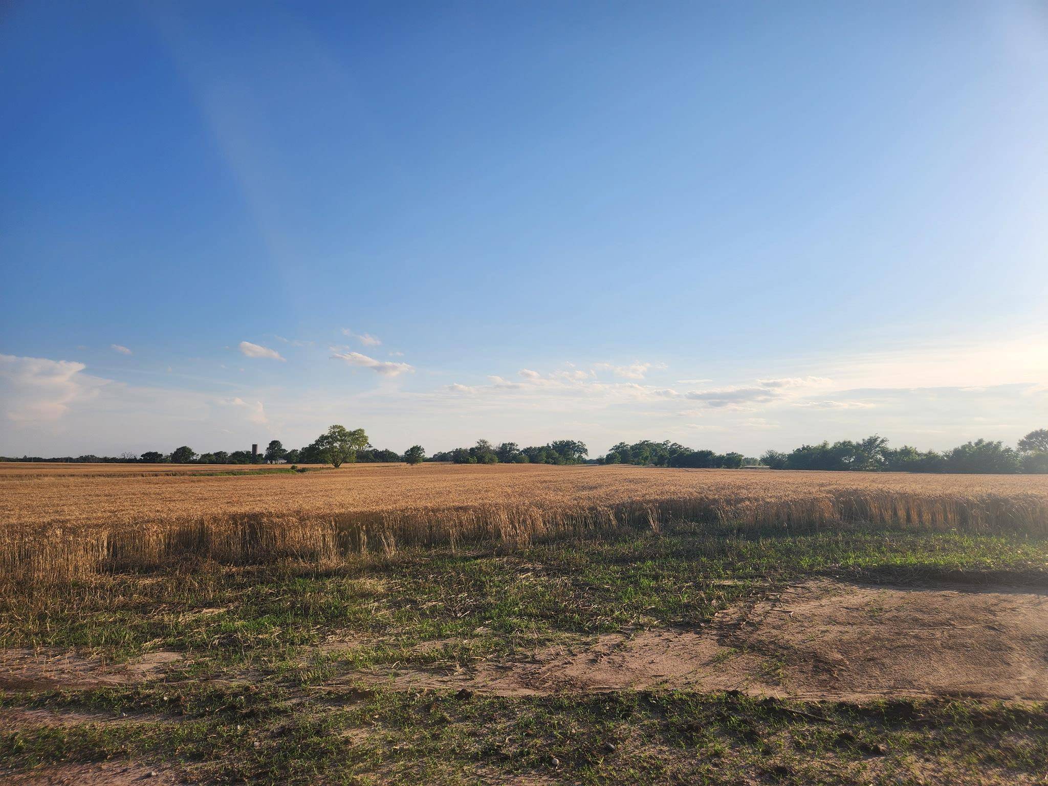 Clearwater, KS 67026,00000 W 87th St South- Lot 5