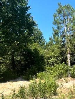 Broken Bow, OK 74728,599 Timber Creek