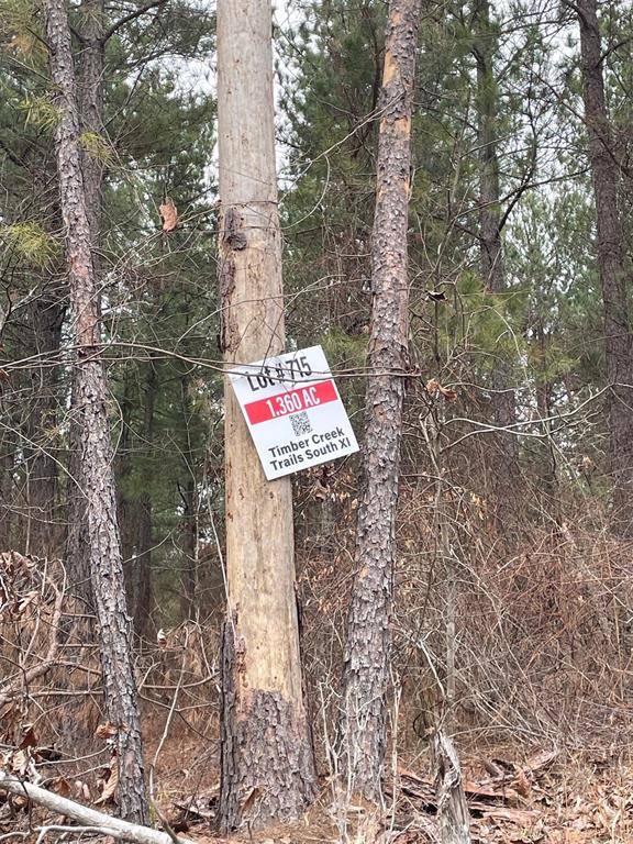 Broken Bow, OK 74728,715 Timber Creek Trails South XI