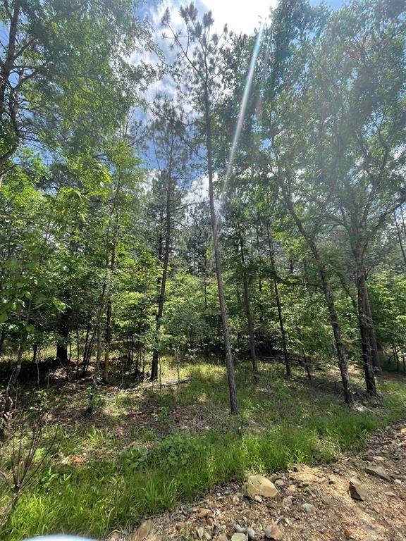 Broken Bow, OK 74728,716 Timber Creek Trails South XI