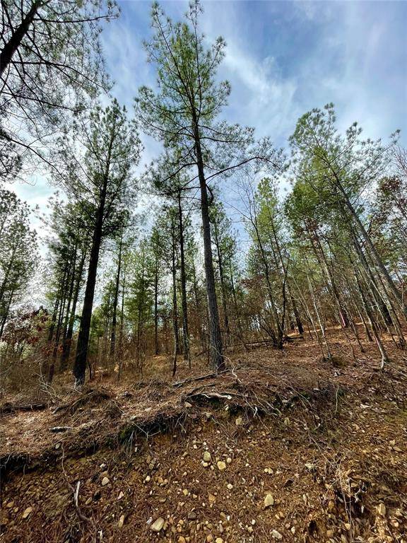 Broken Bow, OK 74728,719 Timber Creek Trails South XI