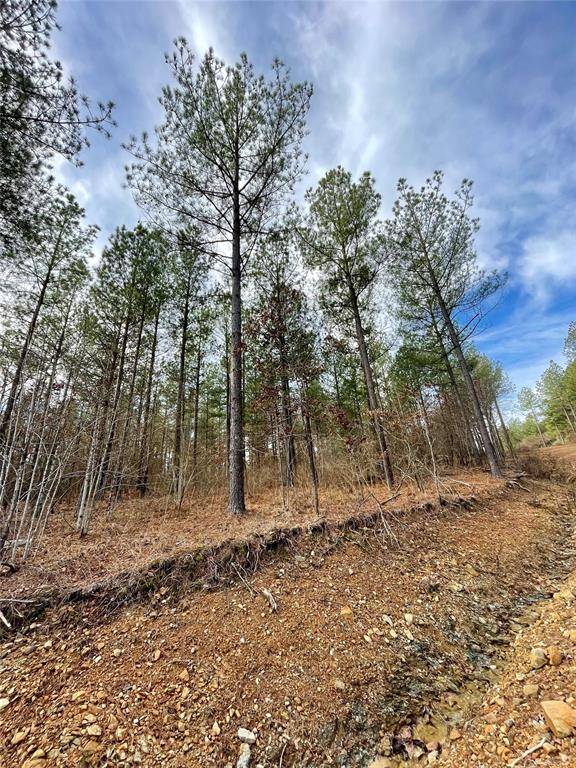 Broken Bow, OK 74728,719 Timber Creek Trails South XI