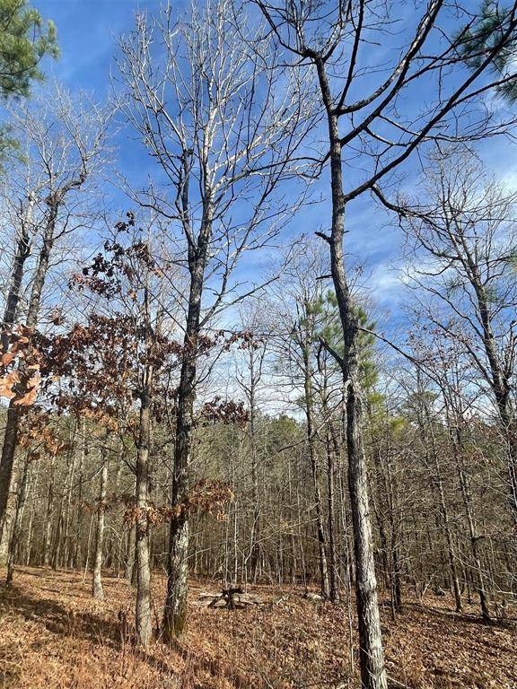 Broken Bow, OK 74728,725 Timber Creek Trails South XI