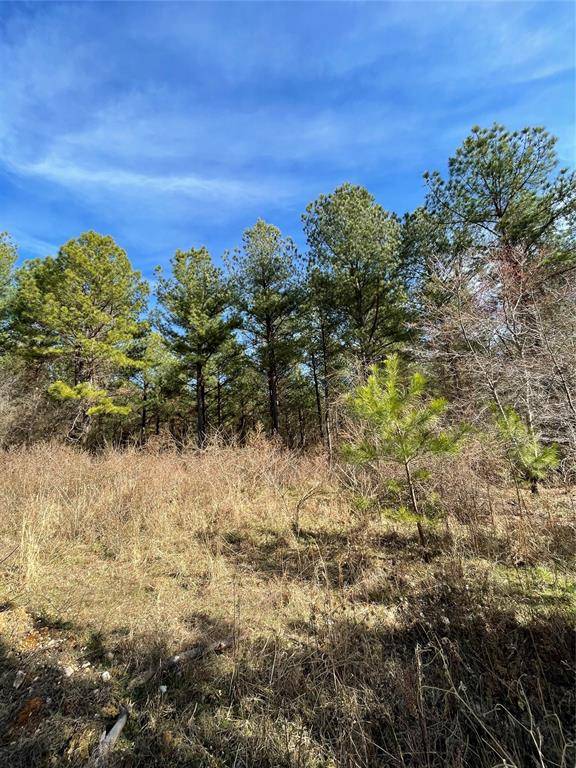 Broken Bow, OK 74728,765 Timber Creek Trails South Xl