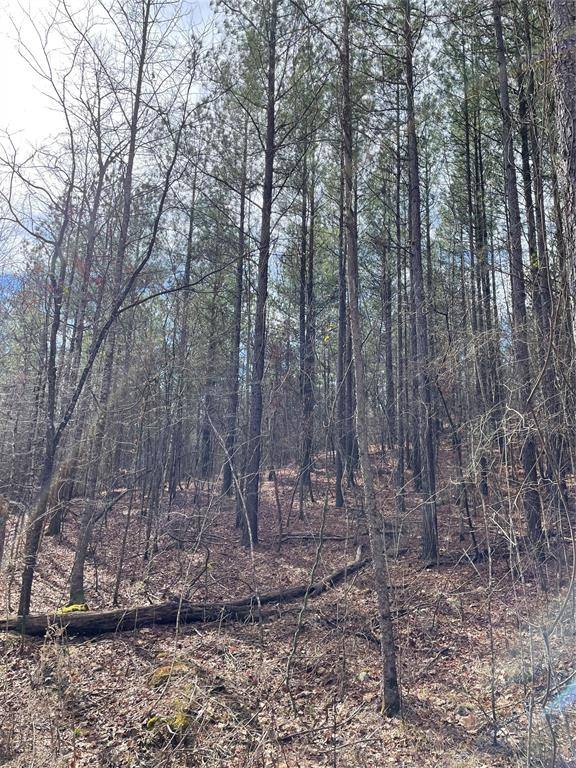 Broken Bow, OK 74728,769 Timber Creek Trails South XI