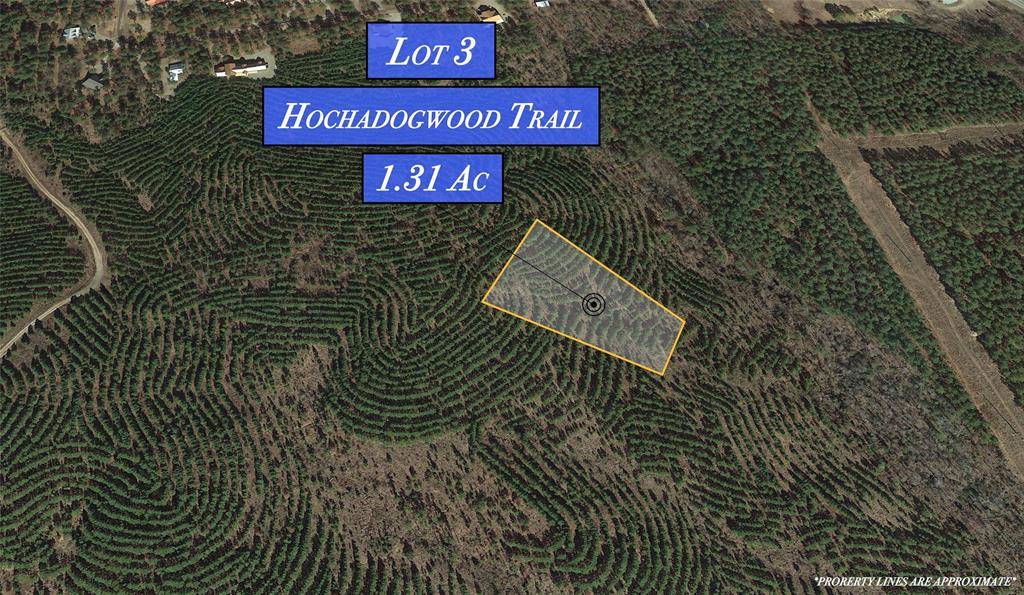 Broken Bow, OK 74728,290 Hochadogwood TRL