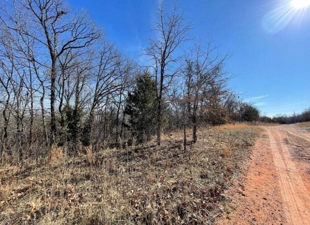 Norman, OK 73072,226 Jesse ST