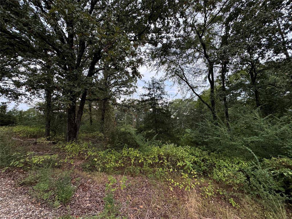 Broken Bow, OK 74728,481 PINE LAKE RD