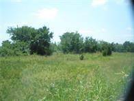 Weleetka, OK 74880,1 Pharoah ST
