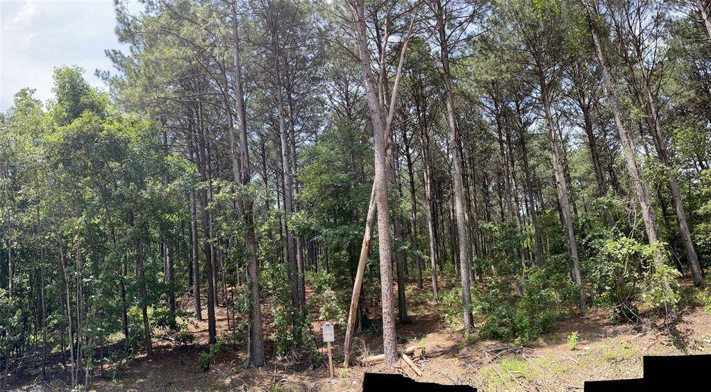 Broken Bow, OK 74728,35 Pine Crest CT