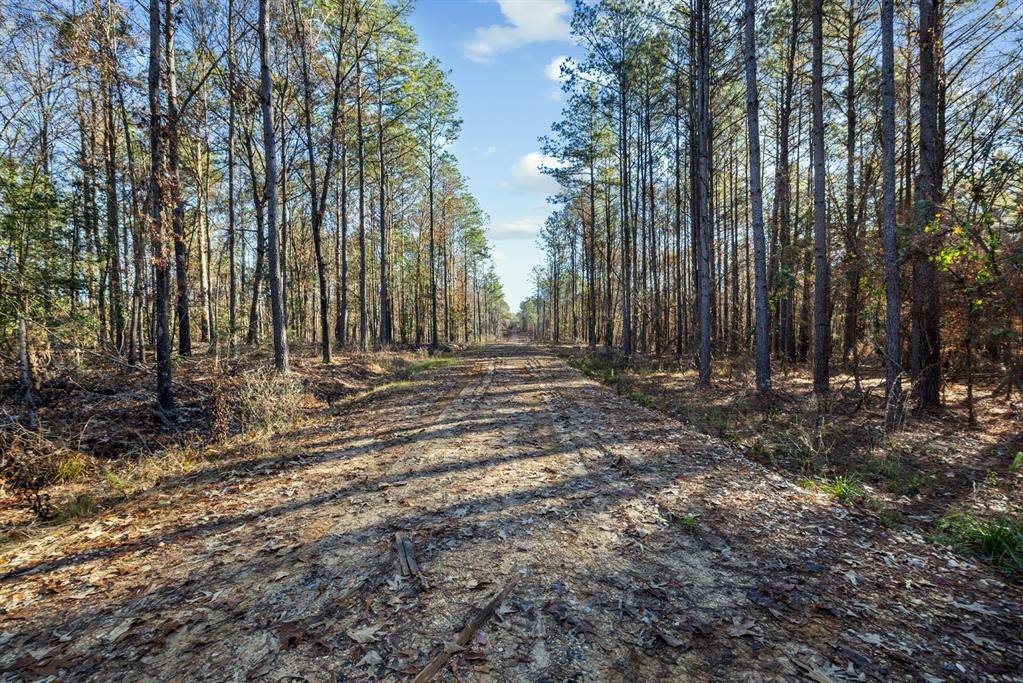 Broken Bow, OK 74728,14 Big Pines