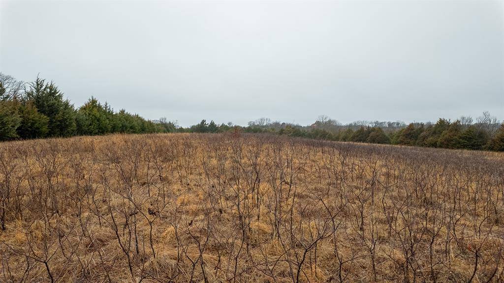 Sparks, OK 74869,000 E 1000 RD