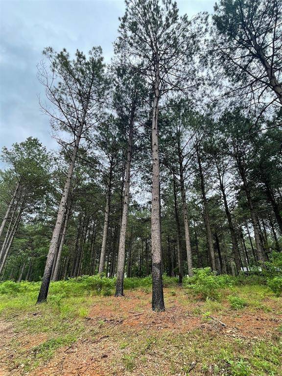 Broken Bow, OK 74728,Upper Vista Ridge Trail #A