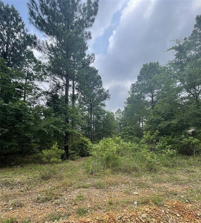 Broken Bow, OK 74728,Upper Vista Ridge Trail #H