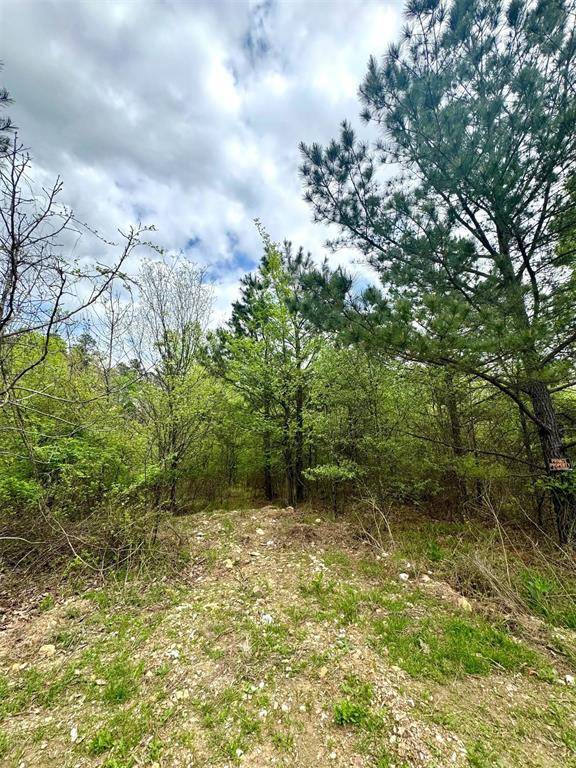 Broken Bow, OK 74728,134 Turning Wood CT