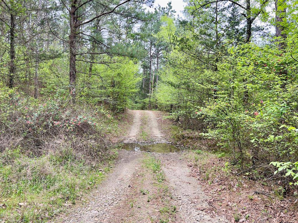 Watson, OK 74963,165 Trout Creek RD