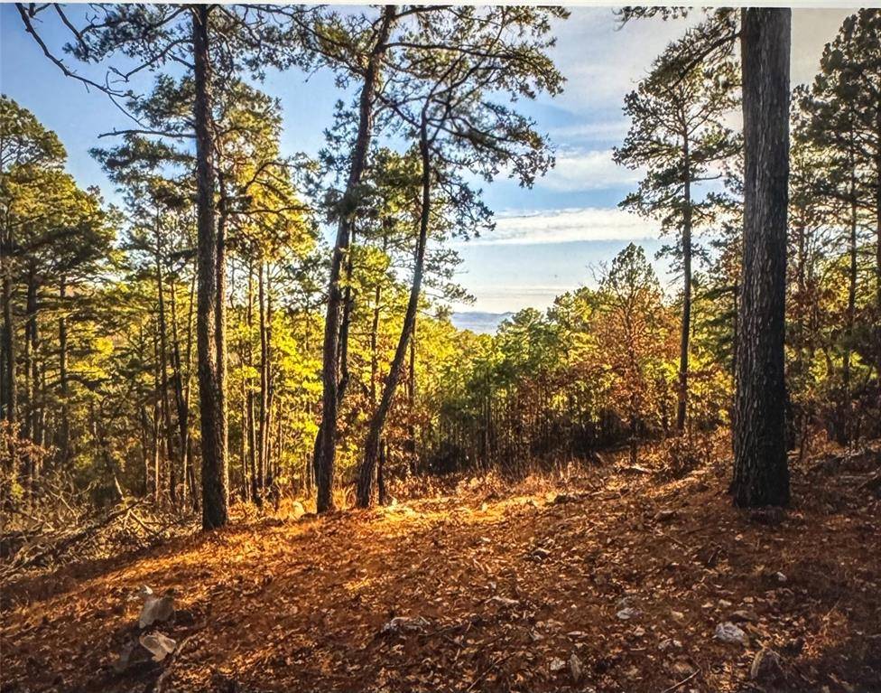 Moyers, OK 74557,177499 Box Springs Mountain RD