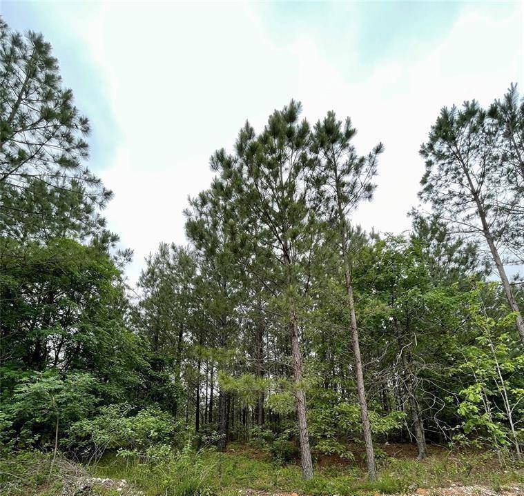 Watson, OK 74963,685 Ridge RD