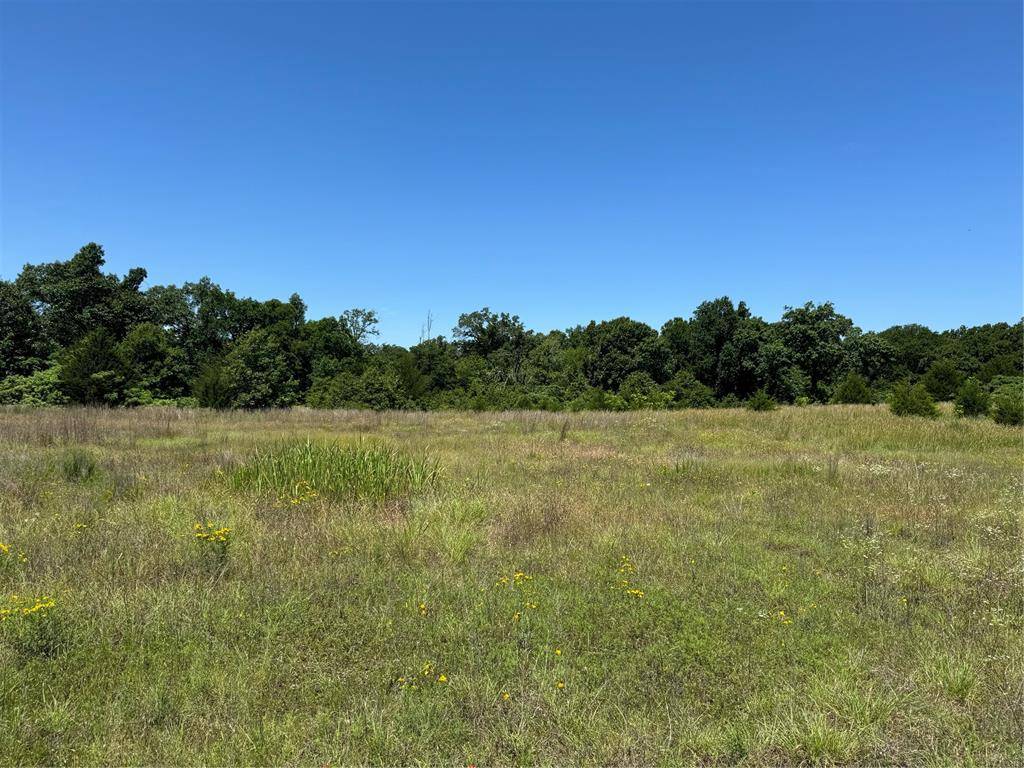 Tecumseh, OK 74873,31915 New Hope RD