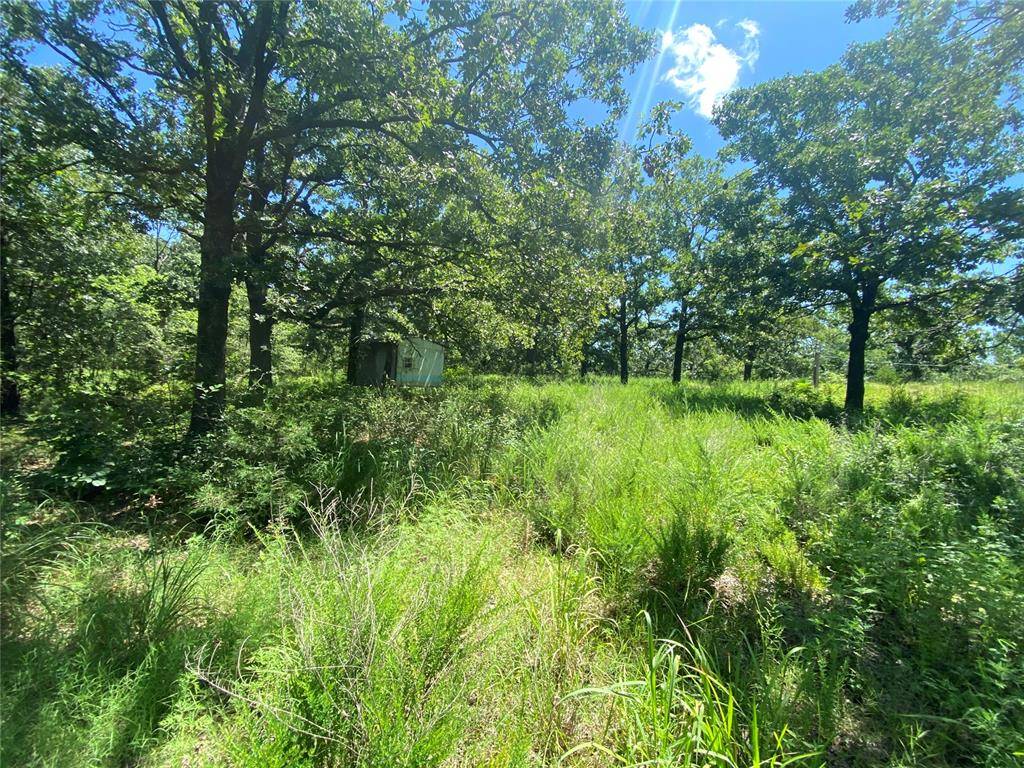 Sasakwa, OK 74867,13570 NS 3615 RD