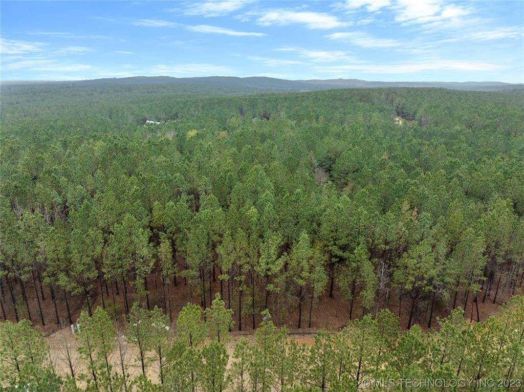 Broken Bow, OK 74728,124 Hochadogwood TRL