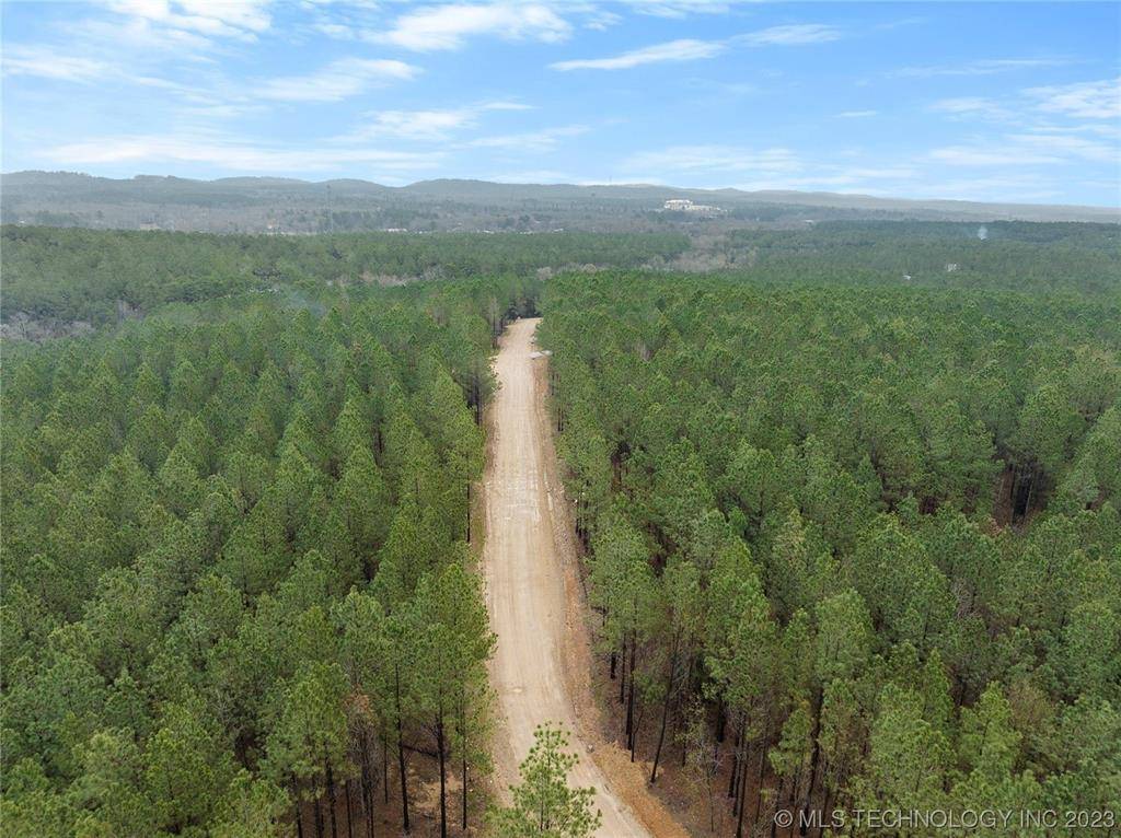 Broken Bow, OK 74728,124 Hochadogwood TRL