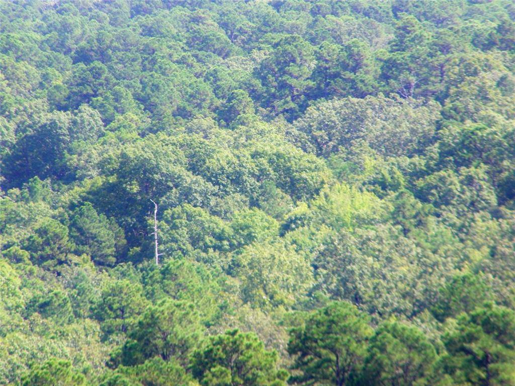 Smithville, OK 74957,Mountain Road