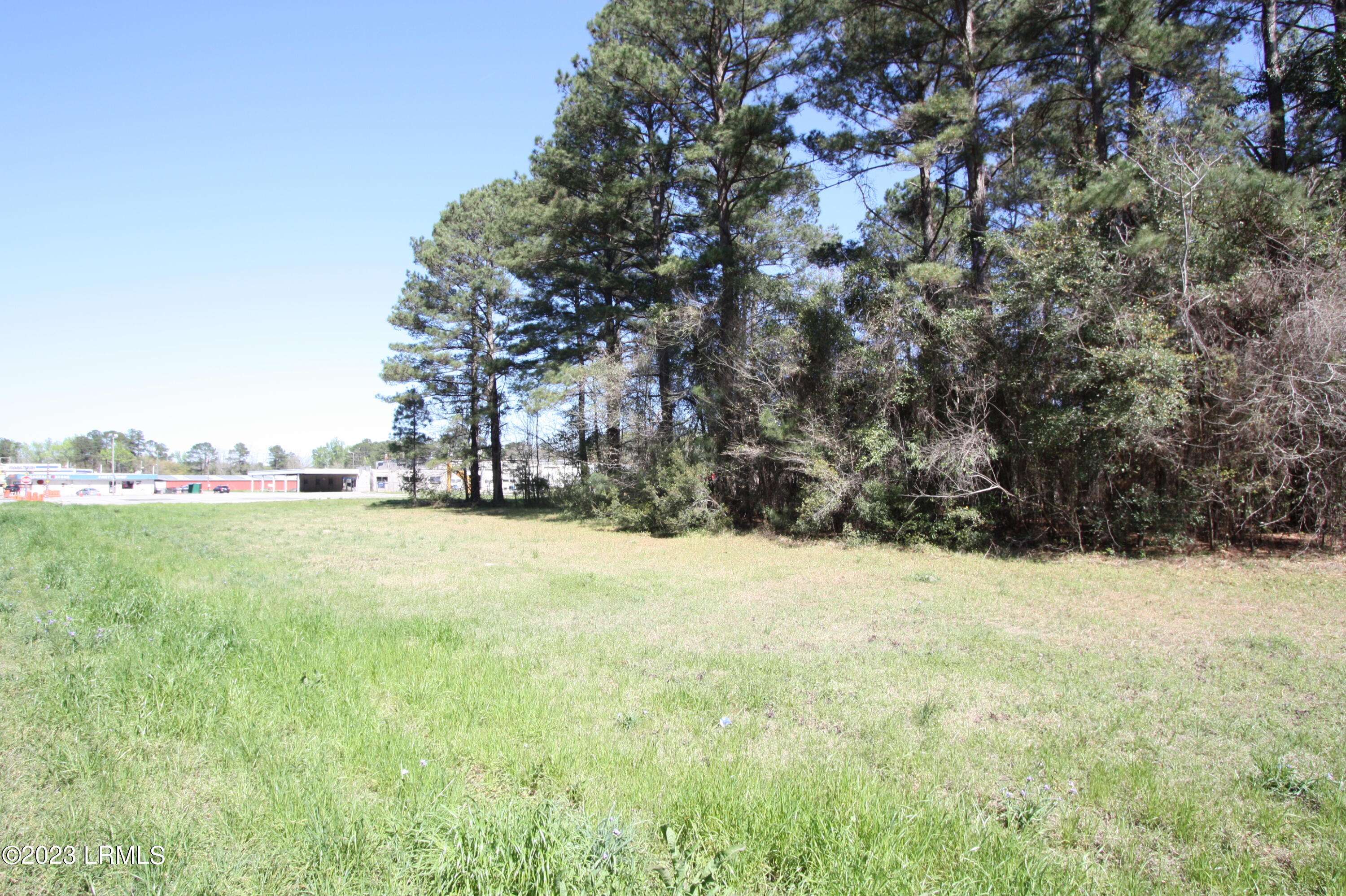 Estill, SC 29918,Tbd Columbia Highway 321 HWY Highway