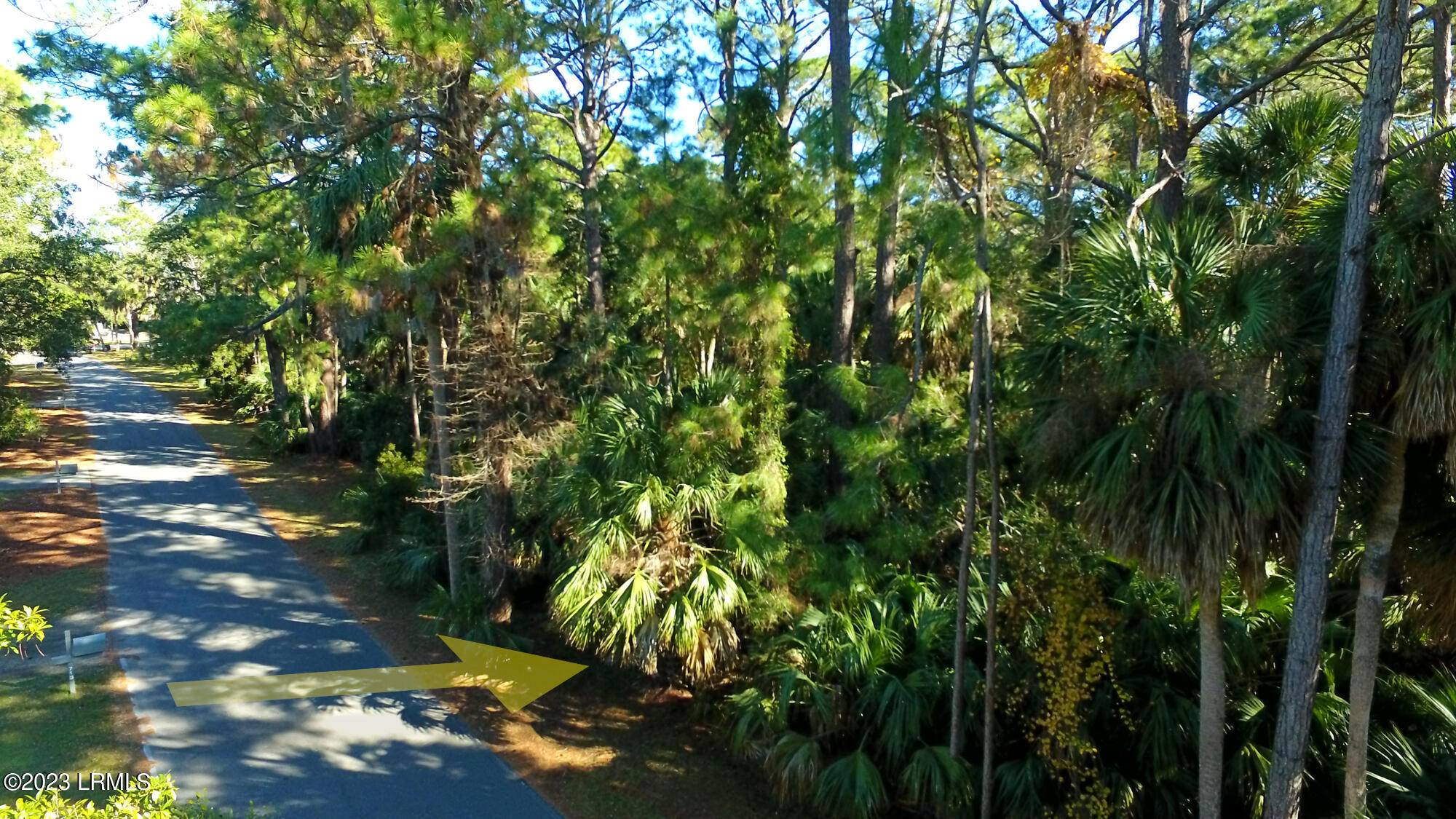 Fripp Island, SC 29920,716 Marlin DR Drive