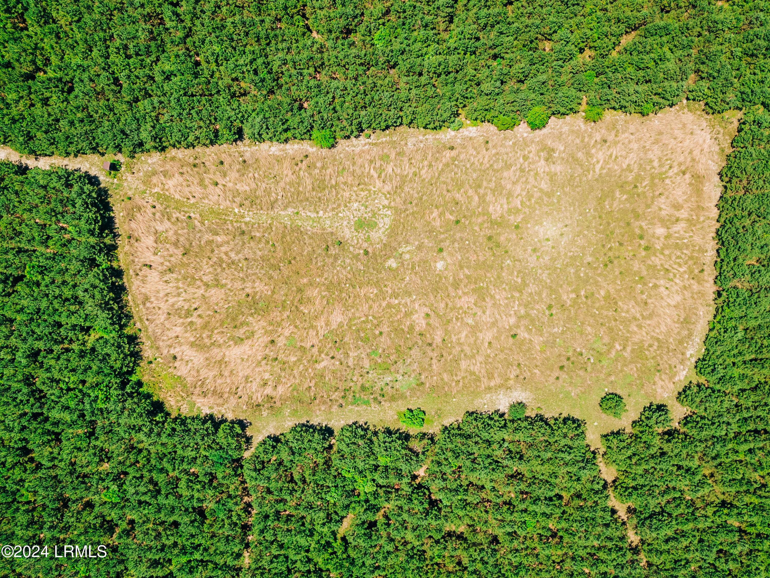 Islandton, SC 29929,0000 Varnadoe RD Road