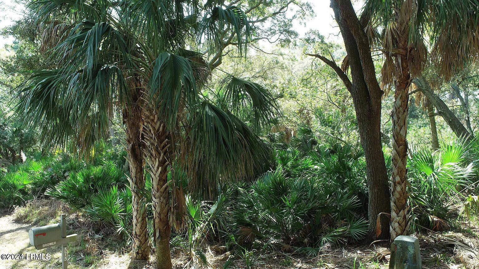 Fripp Island, SC 29920,372 Pike DR Drive