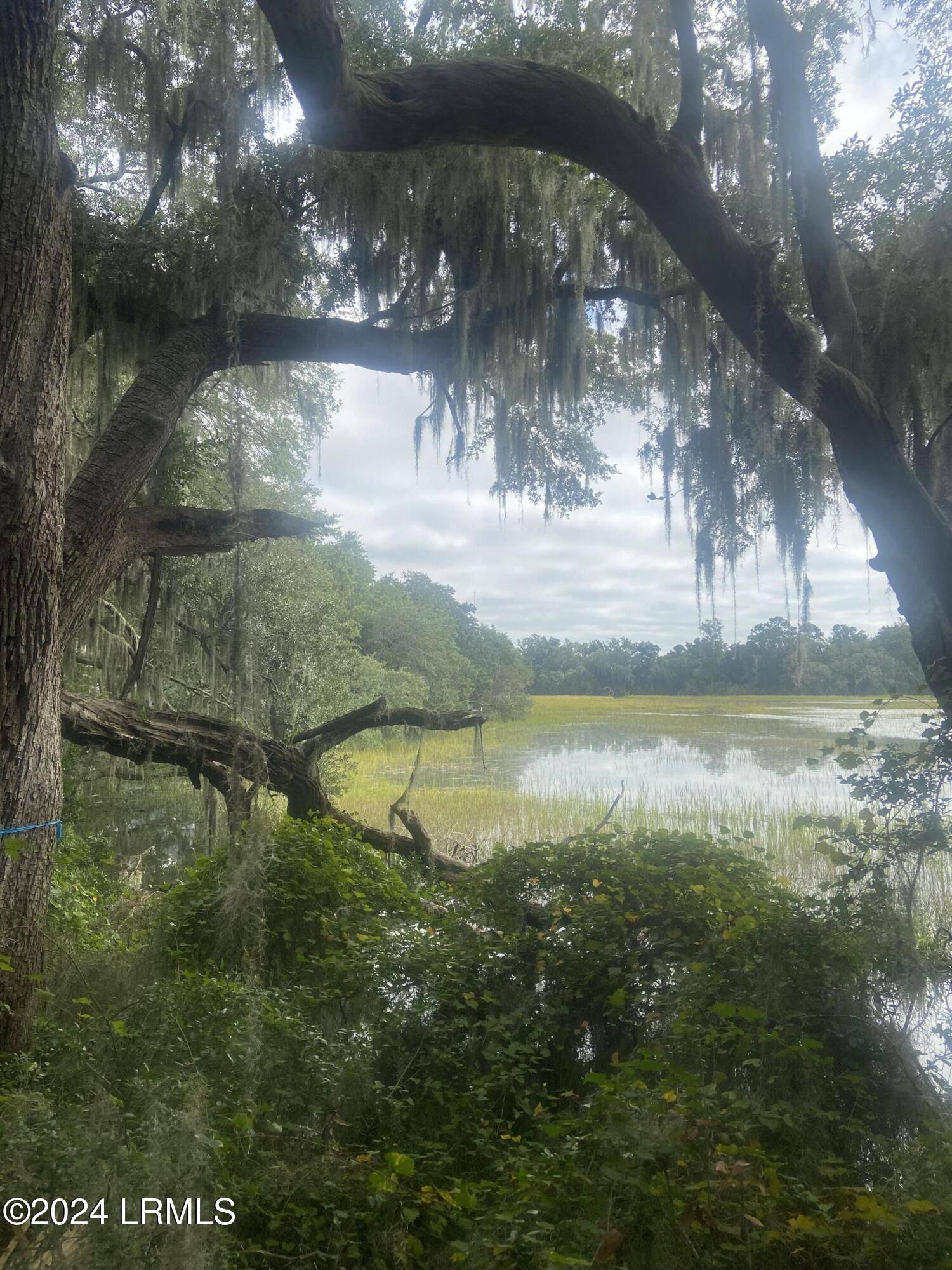 St. Helena Island, SC 29920,97 Bermuda Downs