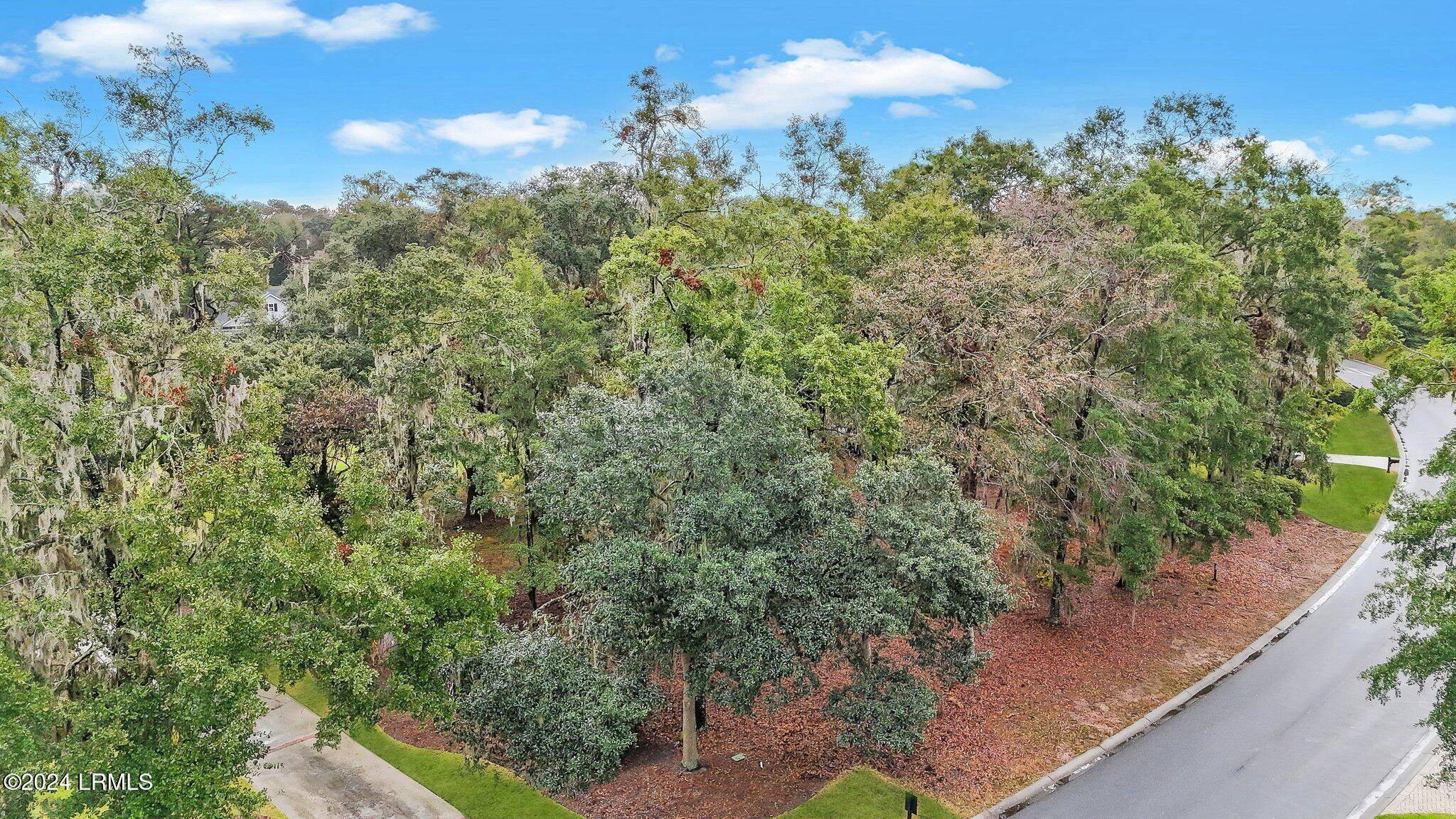 Bluffton, SC 29910,260 Bamberg DR Drive