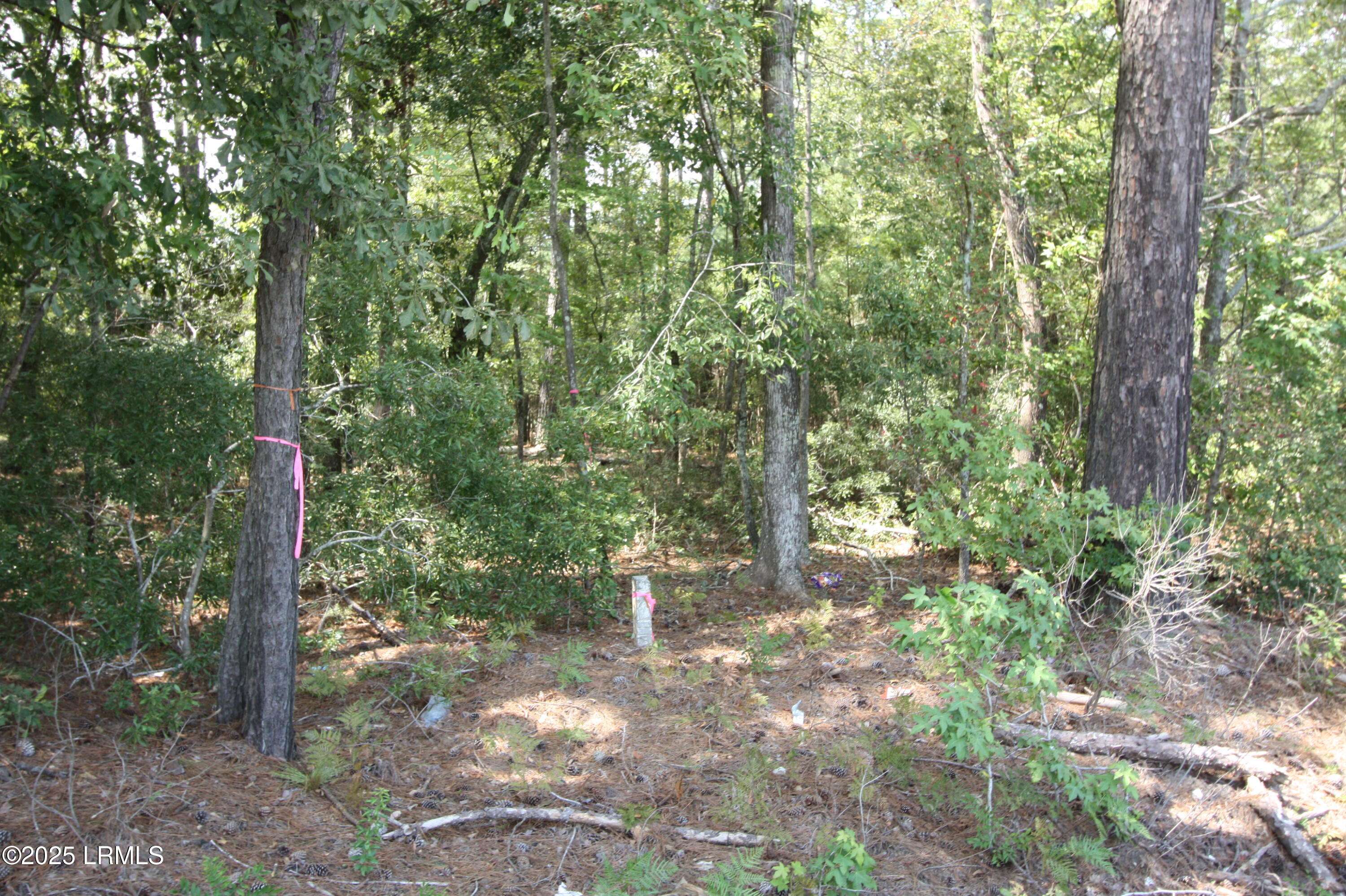 Garnett, SC 29922,Tbd Stokes Bluff LNDG Landing