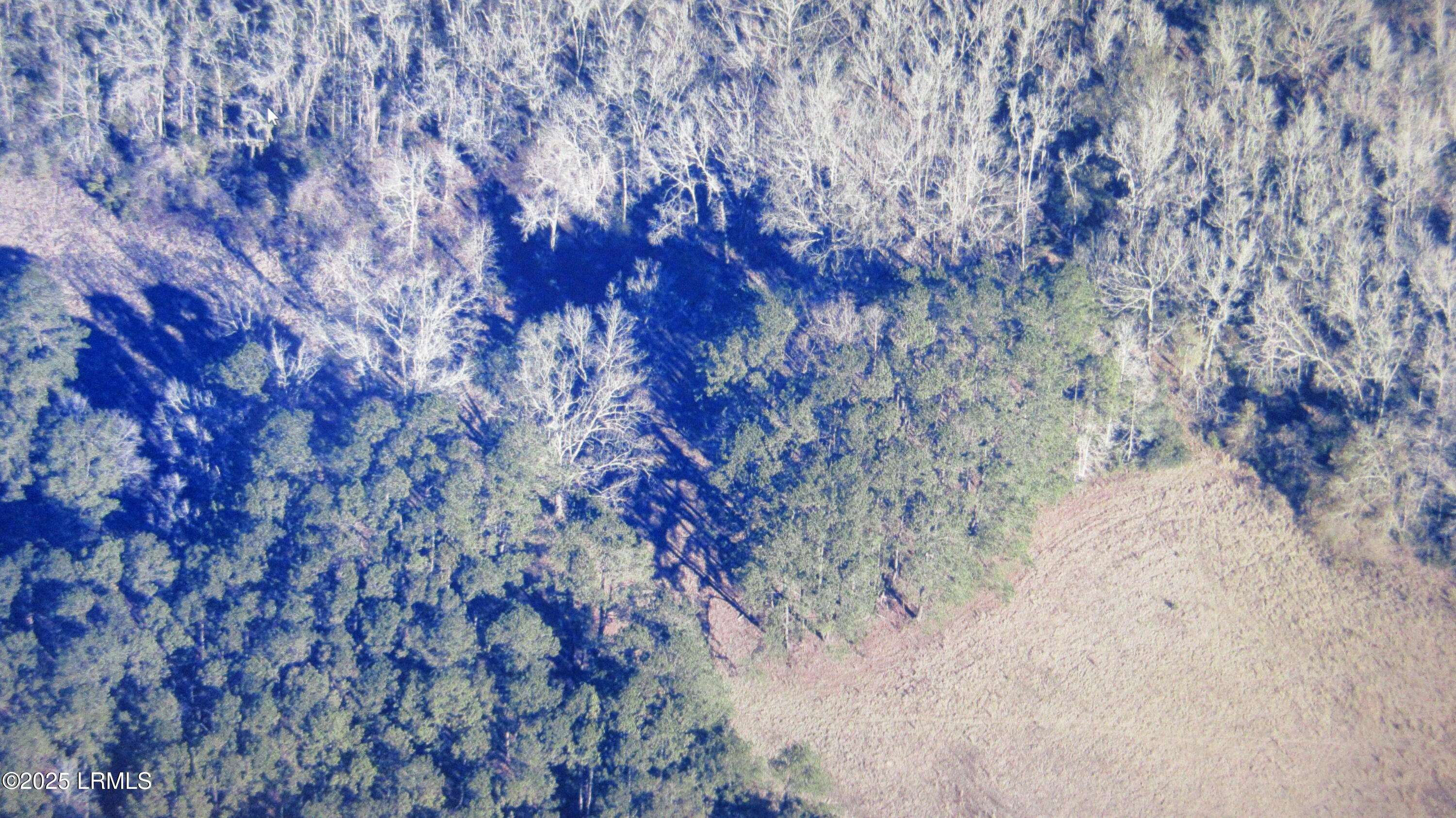 Sheldon, SC 29941,0 Tbd Charleston HWY Highway