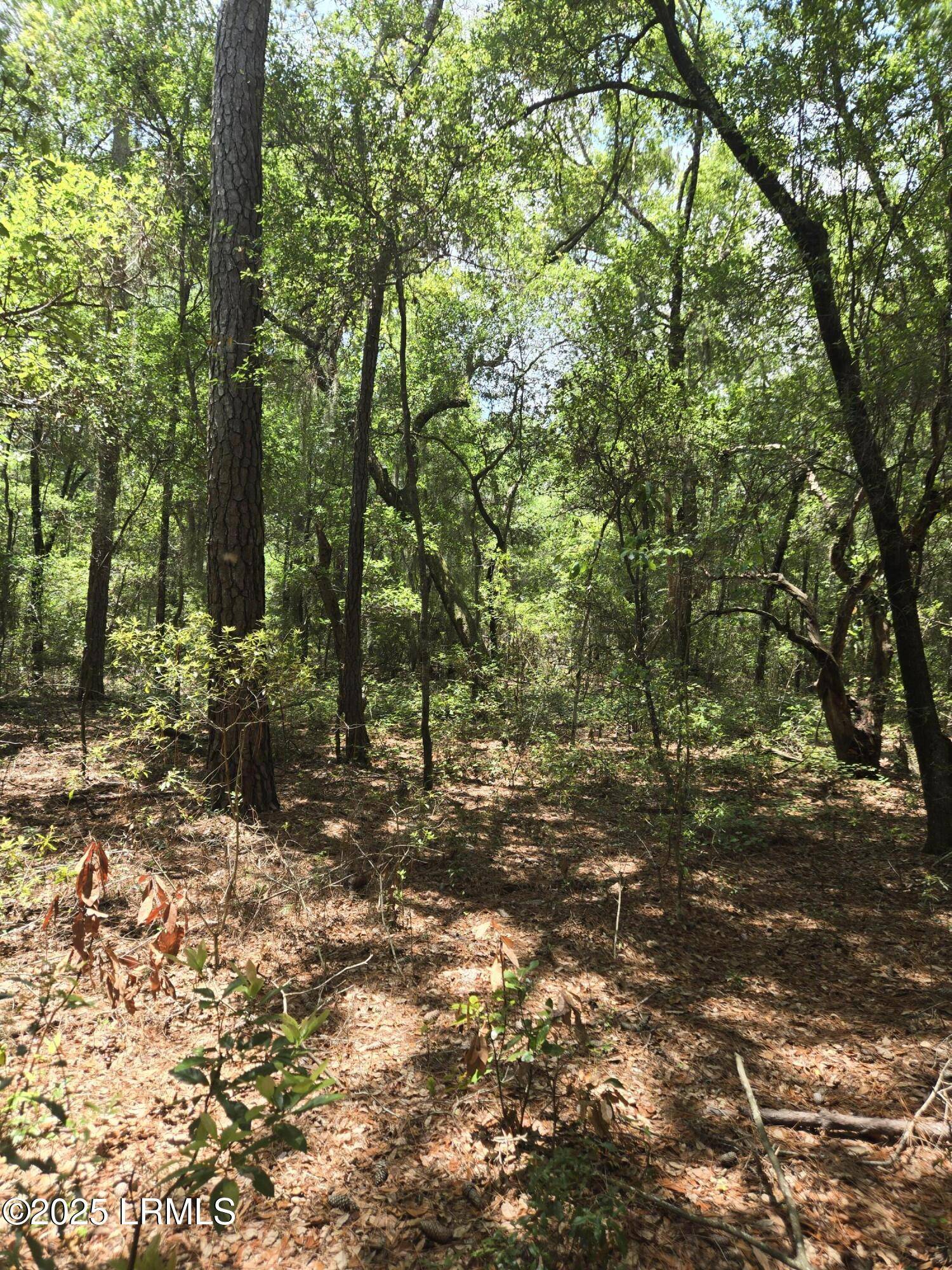 St. Helena Island, SC 29920,Tbd Mclane ST Street