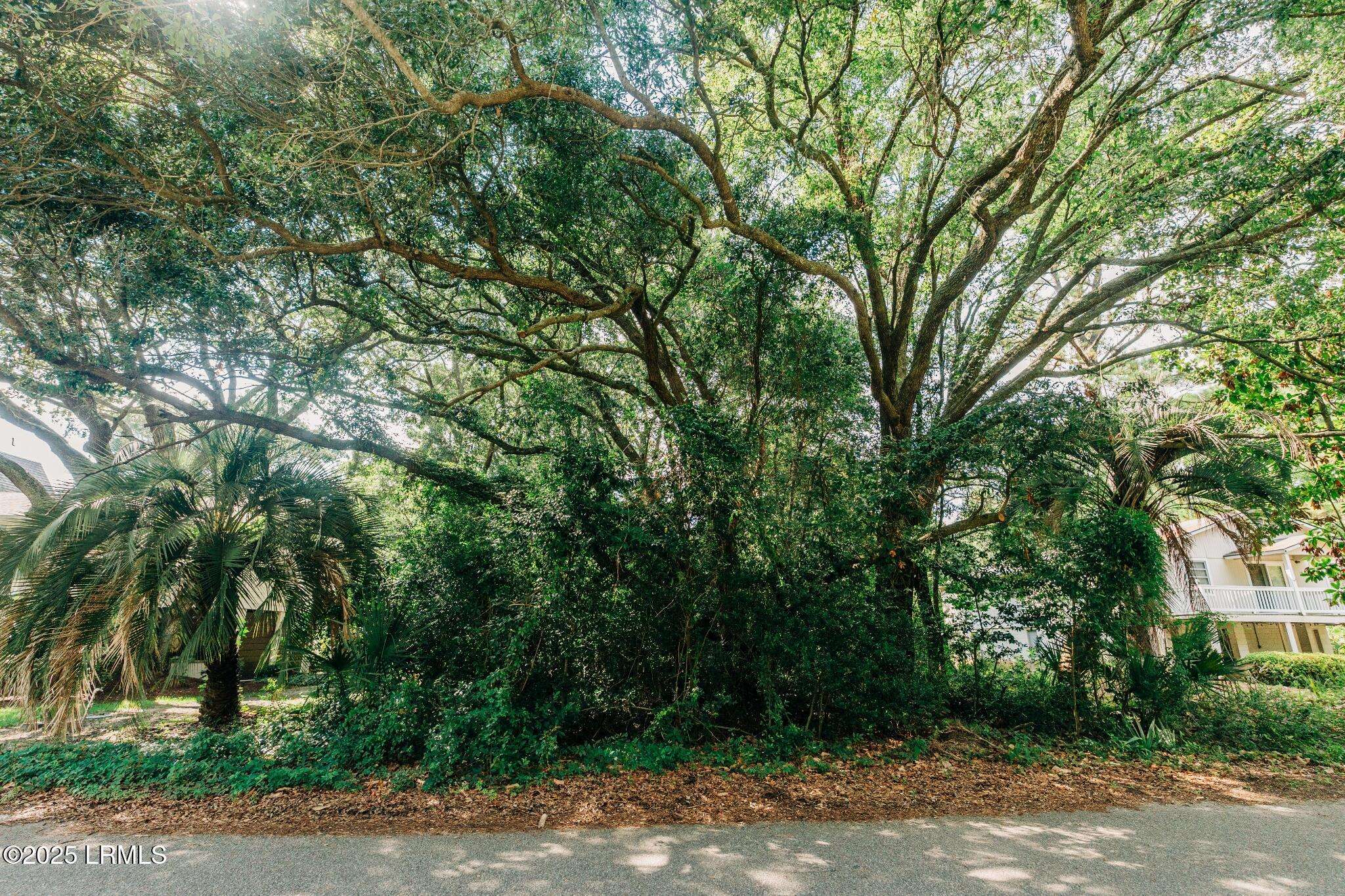 Hilton Head Island, SC 29928,17 Moonshell RD Road