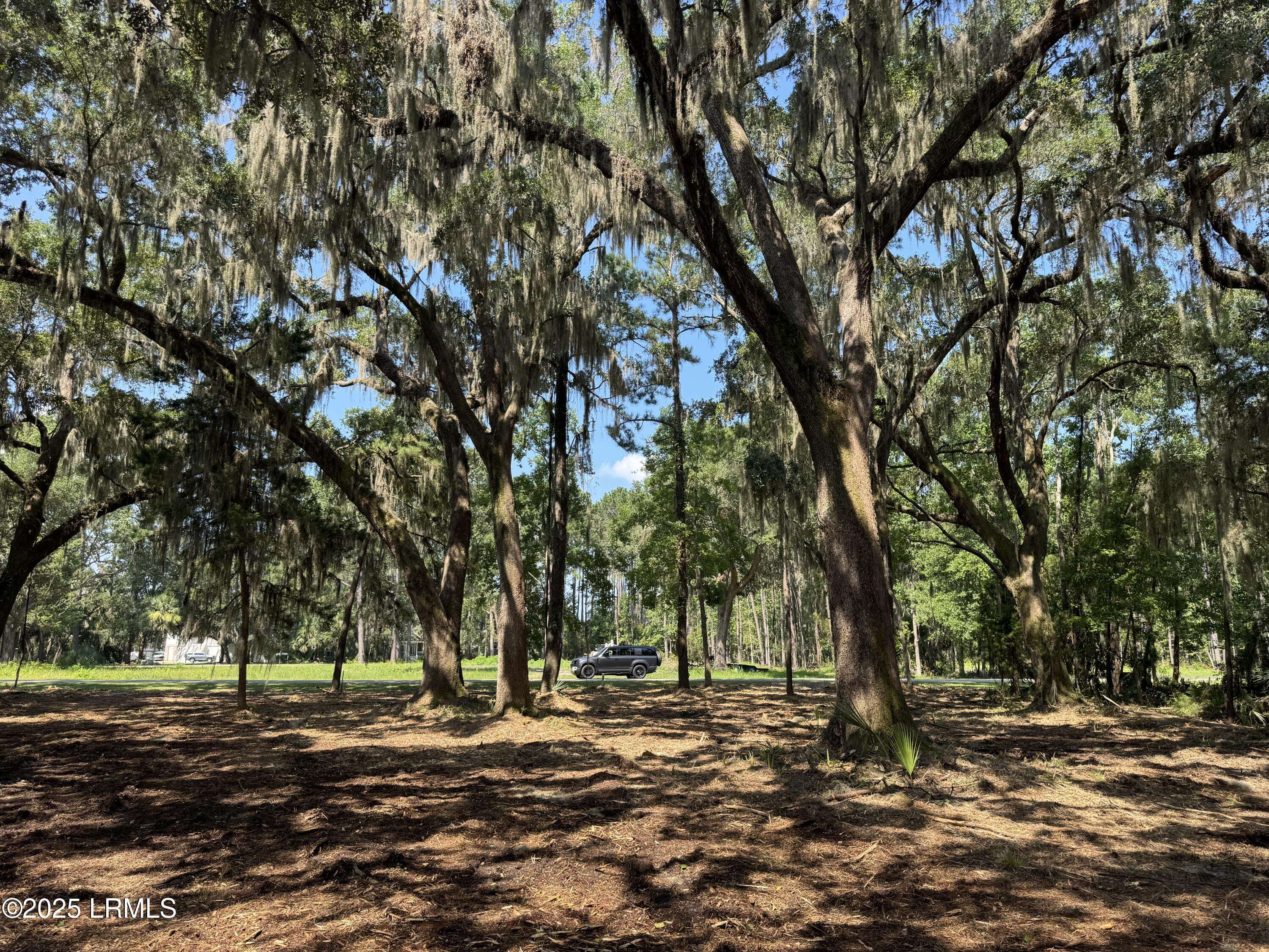 Ridgeland, SC 29936,Tbd Broadview DR Drive