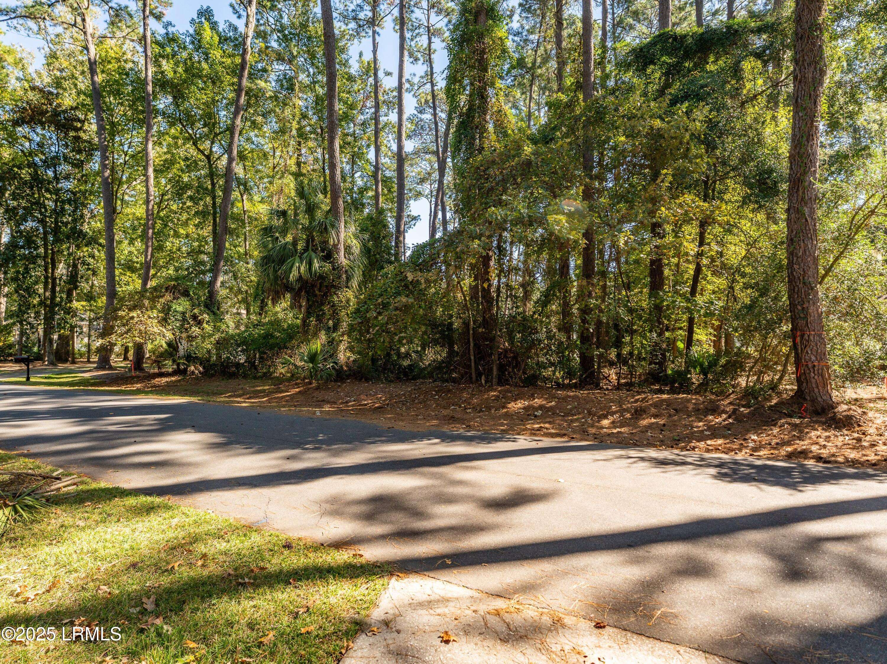 Okatie, SC 29909,51 Winding Oak DR Drive