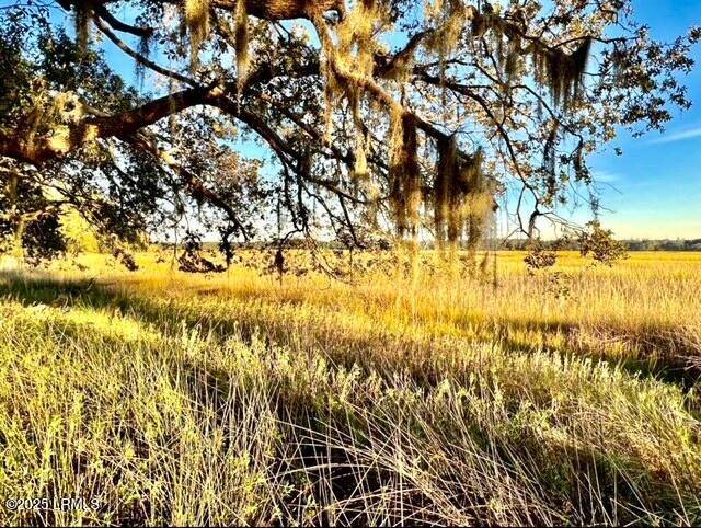 Seabrook, SC 29940,481 Paige Point BLF Bluff