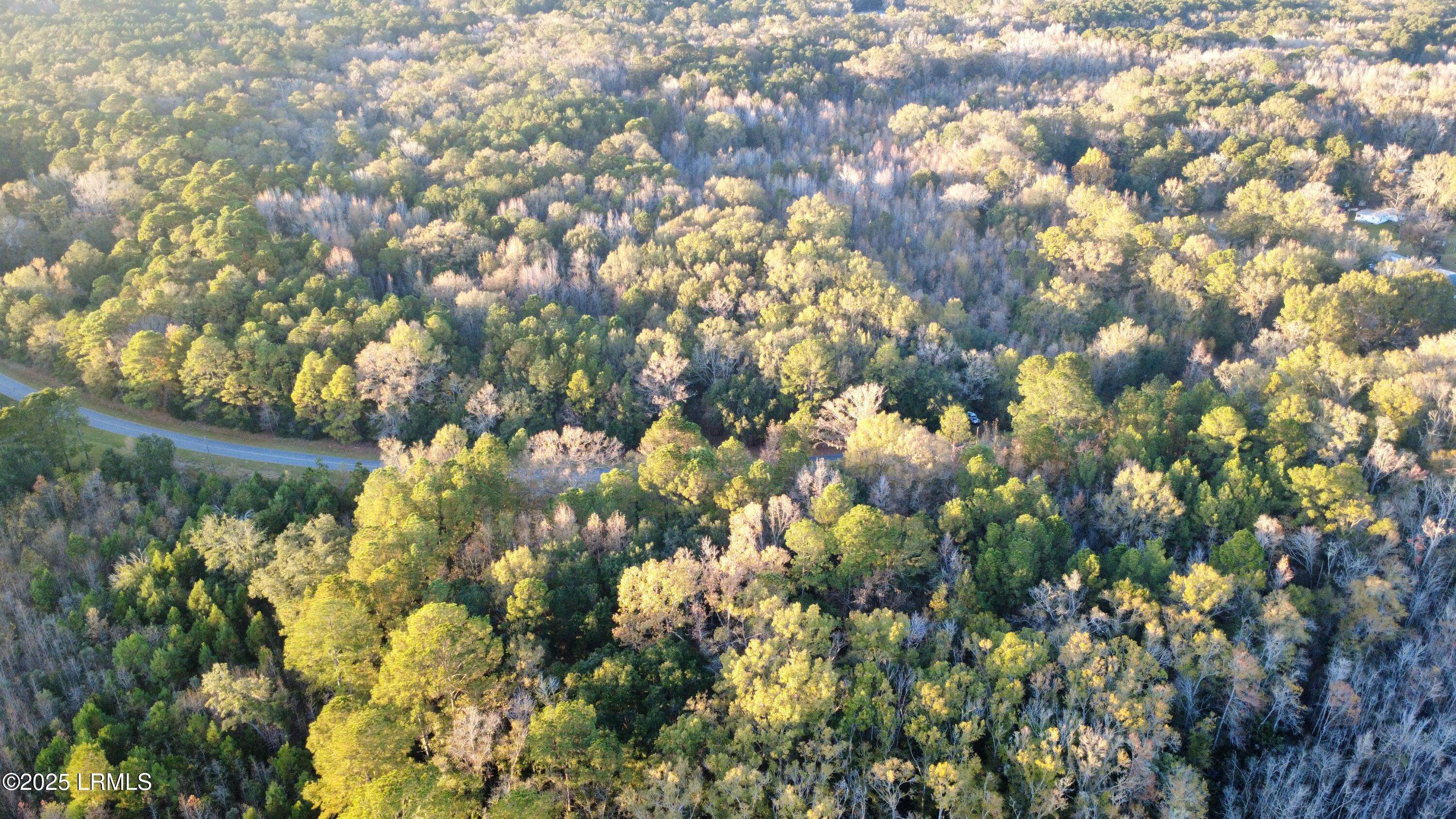 Yemassee, SC 29945,80 Big Estates CIR Circle