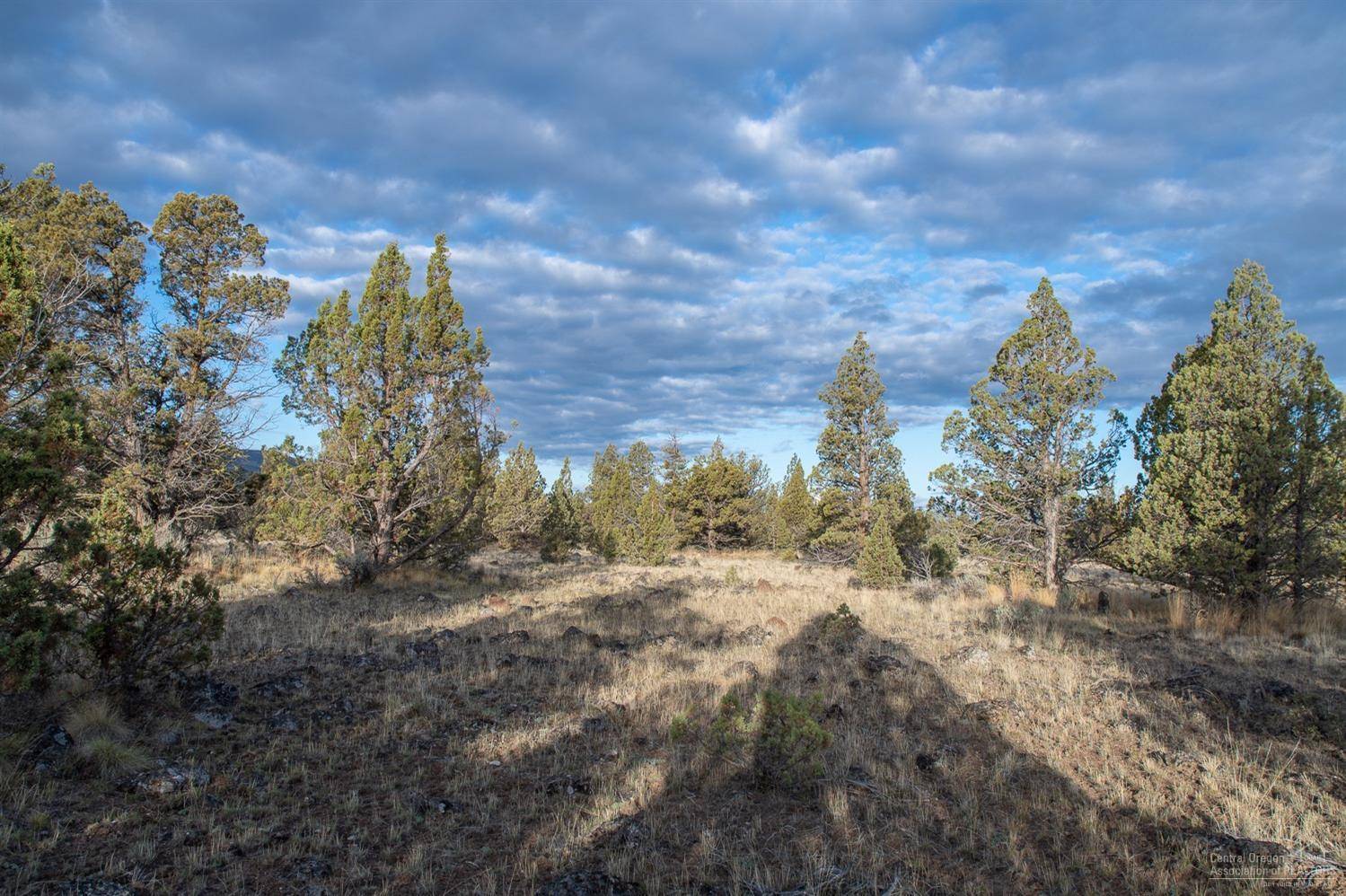 Prineville, OR 97754,6500 George Millican RD