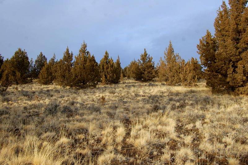 Prineville, OR 97754,TL 1700 Iowa RD