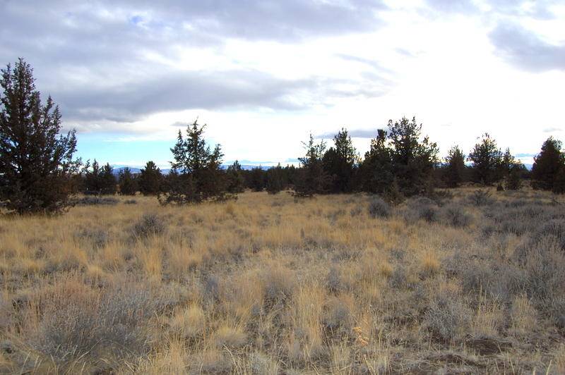 Prineville, OR 97754,TL 2300 Iowa RD