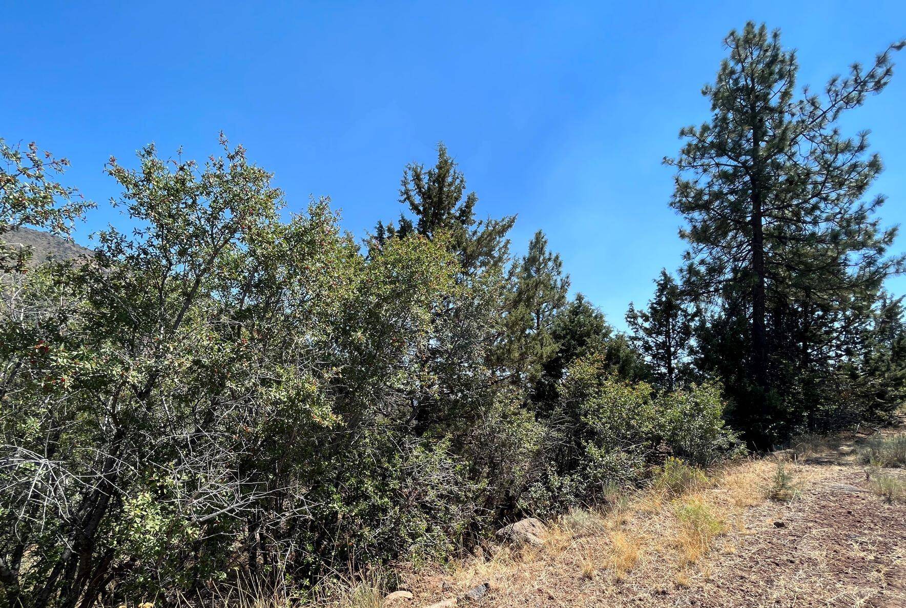 Klamath Falls, OR 97601,Lot 41 Peregrine Heights