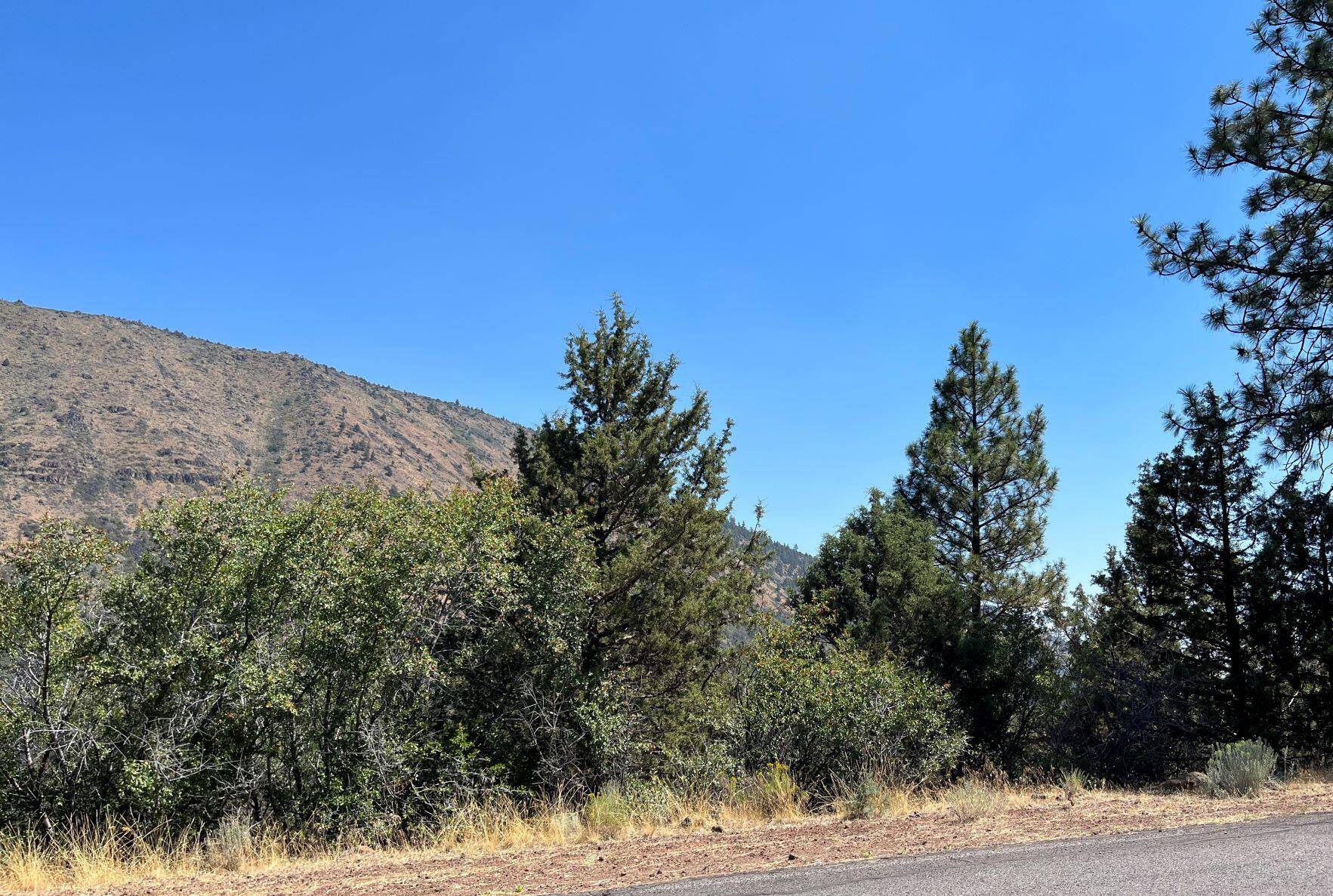 Klamath Falls, OR 97601,Lot 41 Peregrine Heights