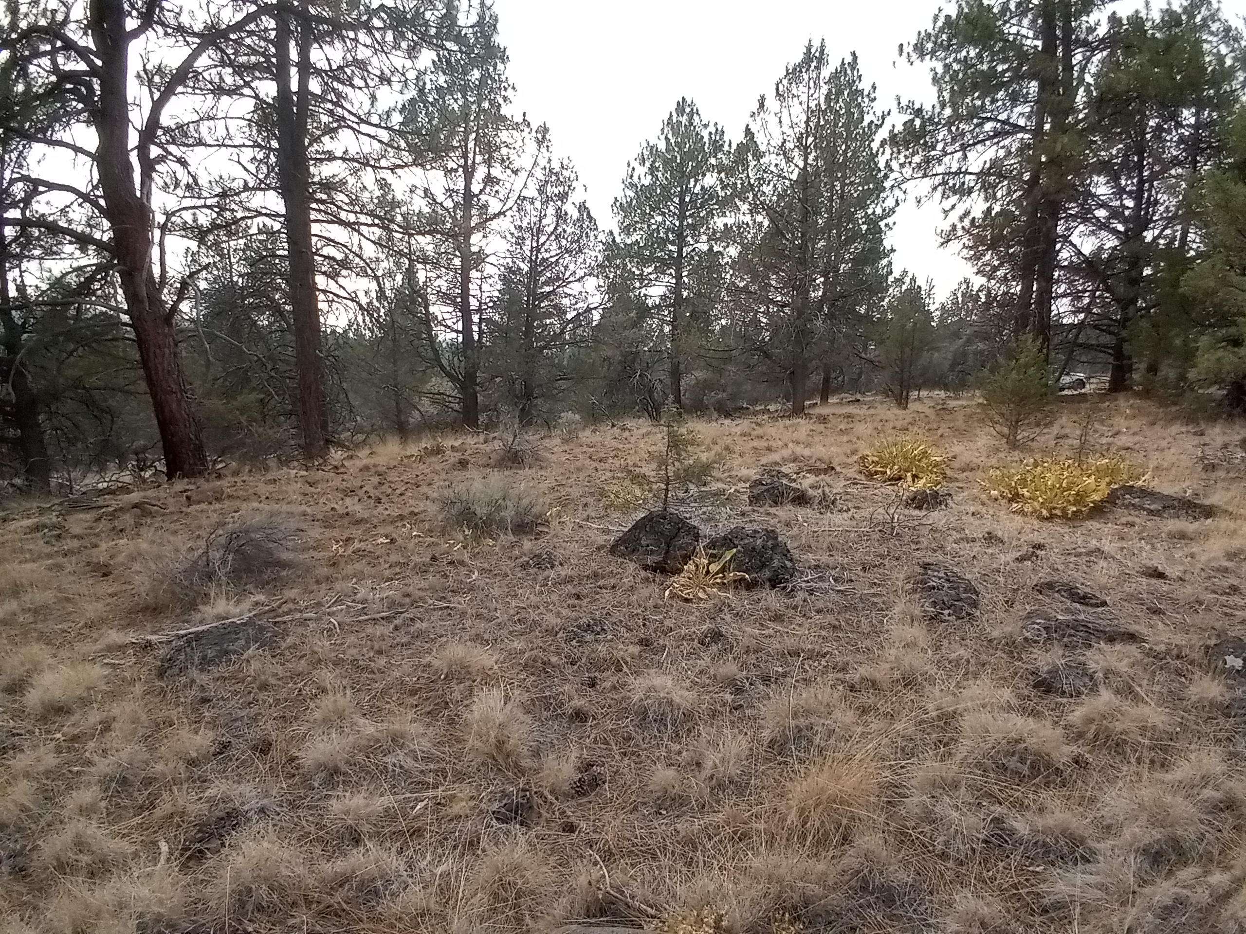 Bonanza, OR 97623,0 Seagull DR