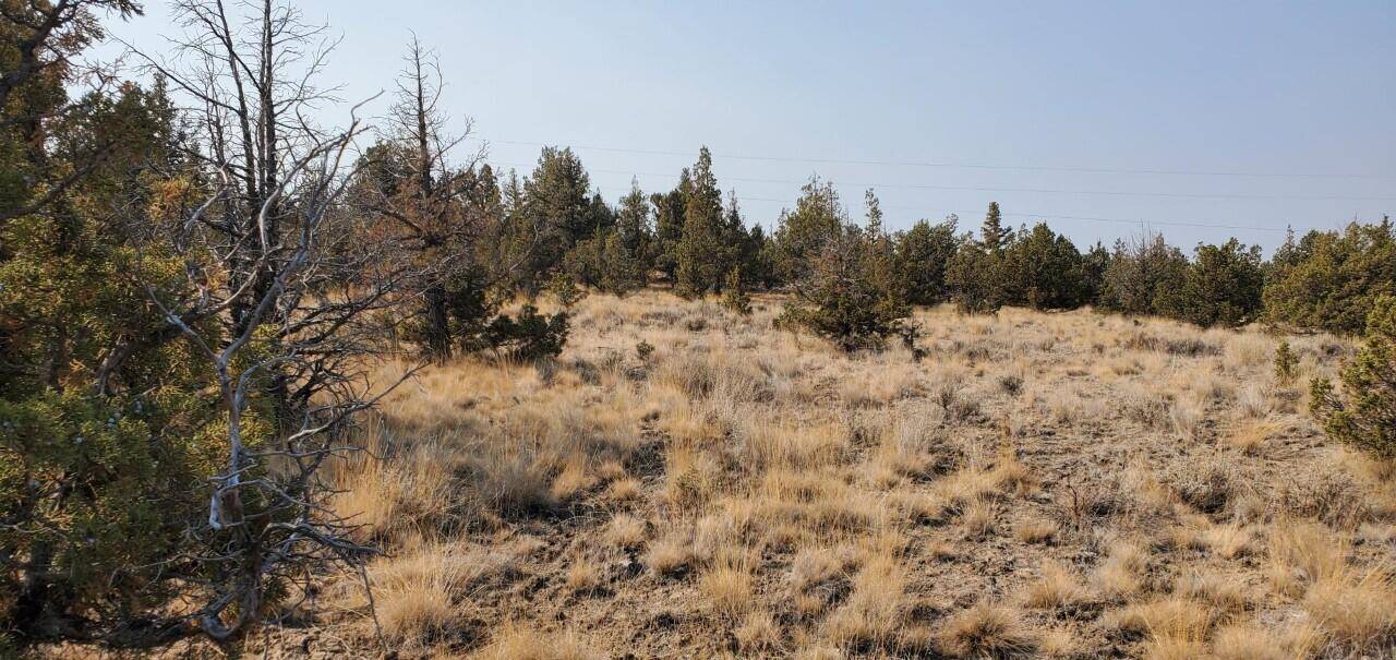 Prineville, OR 97754,TL4800 Browning ST